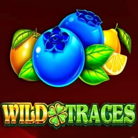 Wild Traces online slot from Amusnet Interactive – play at monsterwin-gr.com